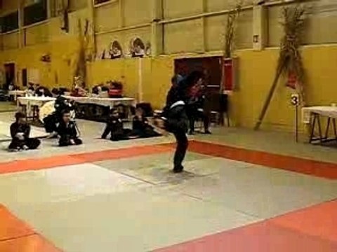 Viet Vo Dao Marolles Quyen Arme Hugo