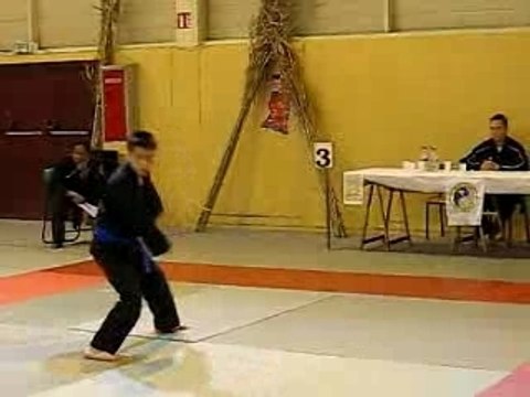 Viet Vo Dao Marolles Quyen 5