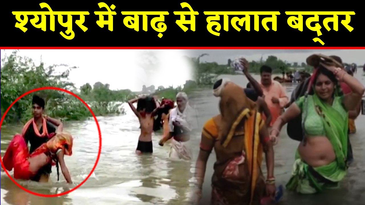 Madhya Pradesh के Sheopur में बाढ़ ने मचाई तबाही, कई गांव, पुल पानी में बहे । वनइंडिया हिंदी