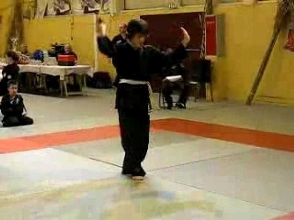 Viet Vo Dao Marolles Quyen Arme Haris