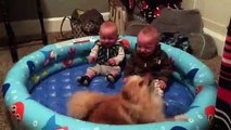 Twin Babies Can't Stop Giggling At Their Pomeranian