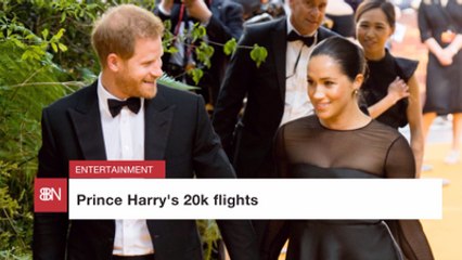Prince Harry's Trips Are Expensive