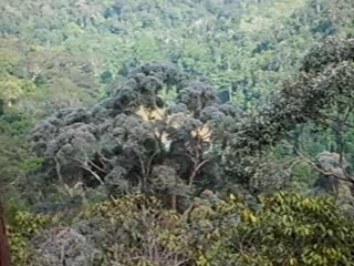 taman negara