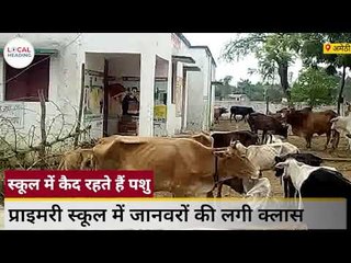 प्राइमरी स्कूल में जानवरों की लगी क्लास