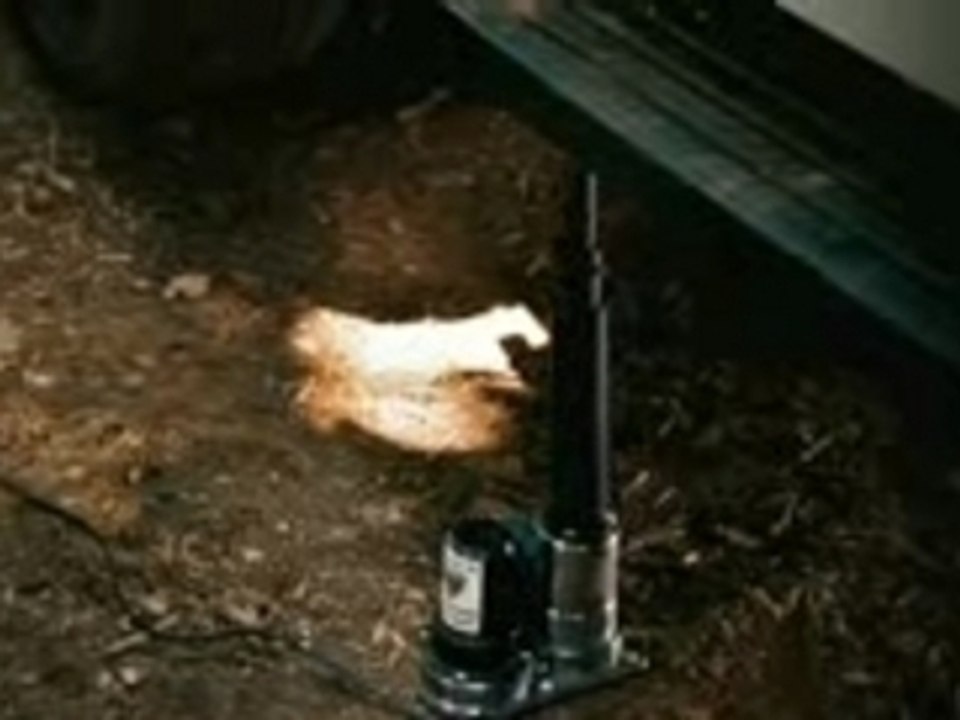 (2008) College Road Trip HQ Official Movie Trailer