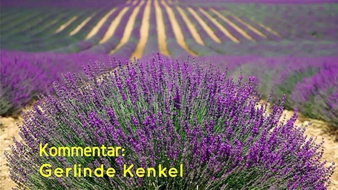 (Sexueller) Missbrauch in Kirchen