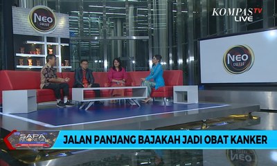 Dialog: Jalan Panjang Bajakah Jadi Obat Kanker