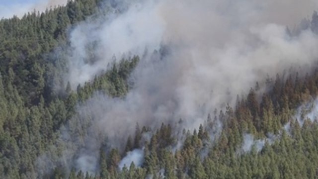 300 delitos y más de 230 detenidos o investigados por incendios en lo que va de año