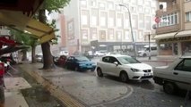 Kütahya'da 15 dakikalık yağış ve fırtına 5 kavak ağacını devirdi