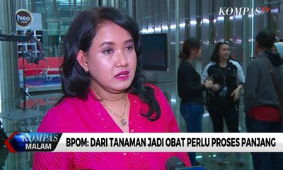 BPOM: Dari Tanaman Jadi Obat Perlu Proses Panjang