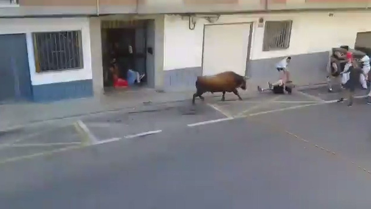 UN muerto tras ser corneado en el Torico de la Cuerda de Chiva