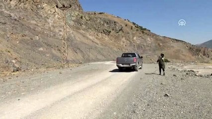 Dağ keçilerini koruma nöbeti