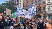 Angry London vegans march from Trafalgar Square to Westminster