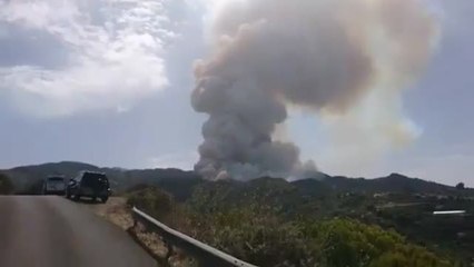 La isla de Gran Canaria vuelve a luchar contra el fuego