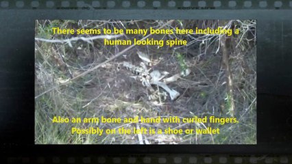 5 Scary Forest Encounters YouTubers Caught on Tape