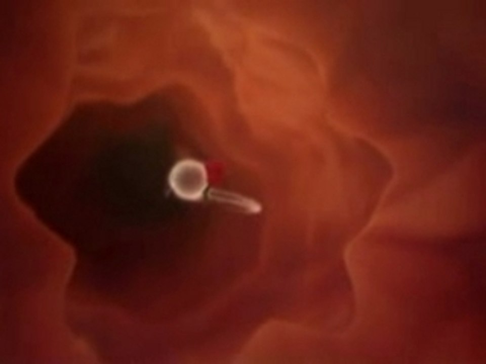 Sperm Fun