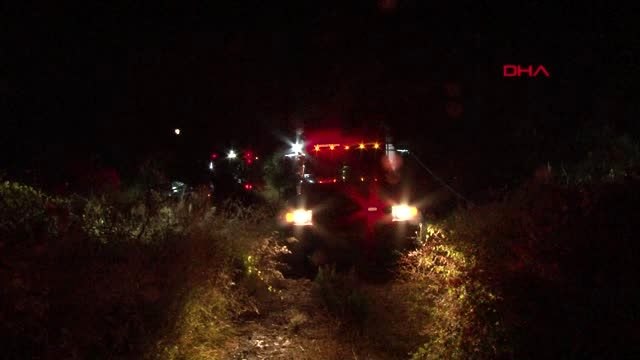 Düğünde atılan havai fişekler, ormanlık alanda yangın çıkardı