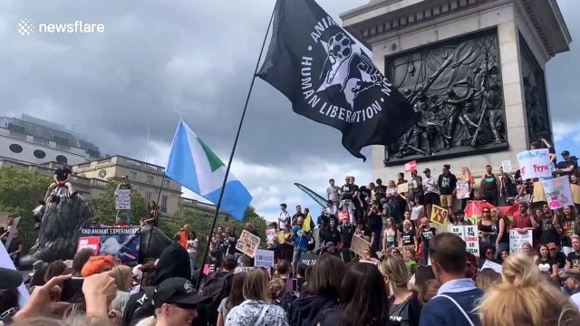 Vegan activists Animal Rebellion stage protests in London’s Trafalgar Square