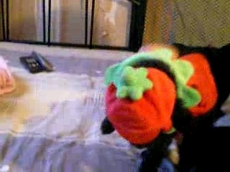 Pitchoo le chiot rigolo