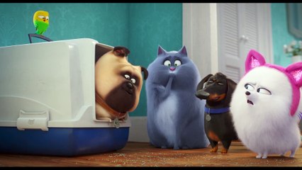 MASCOTAS 2 - Clip de la Película - Aprendiendo a ser gato