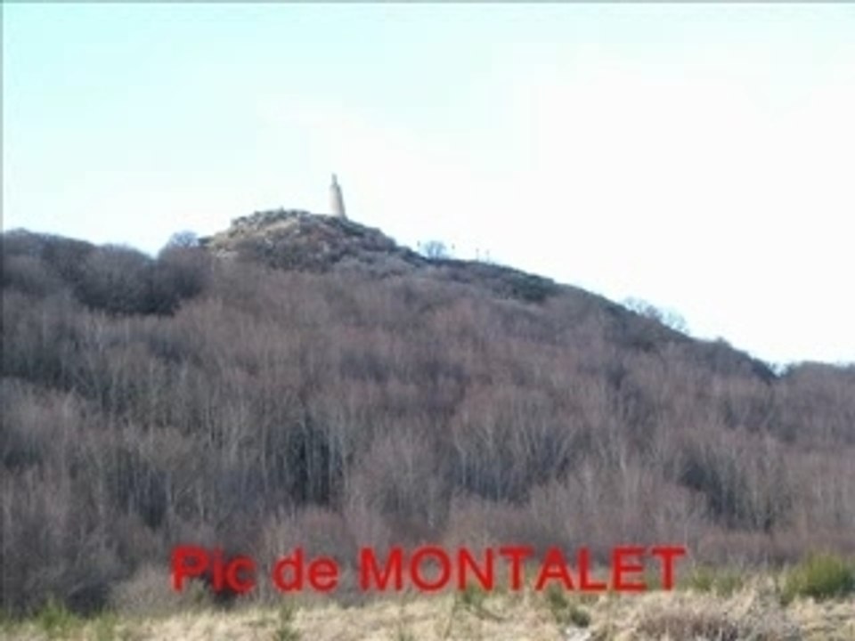 Lacaune web