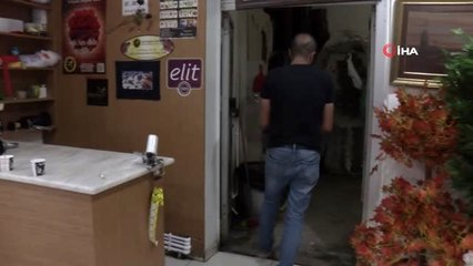 Kanadı kırık güvercin 2,5 yıldır çiçekçi de yaşıyor