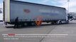 RTV Ora - Qeni antidrogë zbulon 55.5 kg kanabis në portin e Durrësit, pranga shoferit të kamionit