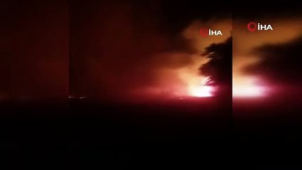 Kuşadası'nda yangın: zeytinlik yandı