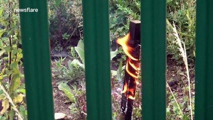 'Sparks fell on me. Everyone was running everywhere': Terror as UK power station is demolished