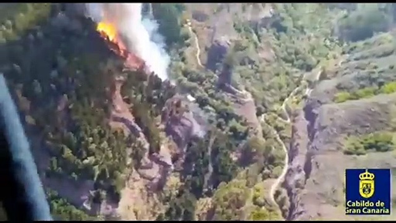 Wieder Waldbrand auf Gran Canaria ausgebrochen