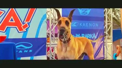 당진출장안마 -후불100%ョØ7ØE7575E0069｛카톡RD654｝ 당진전지역출장안마 당진오피걸 당진출장마사지 당진출장안마 당진출장마사지 당진콜걸샵안마 당진출장아로마 당진출장안마후기≁㌗⻫당진출장샵