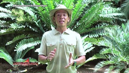 Matanglawin Egg-citing Palaisipan | Matanglawin