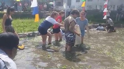 Ikut Lomba Tangkap Lele di Banyumas, Bule Belgia: Seru dan Beda
