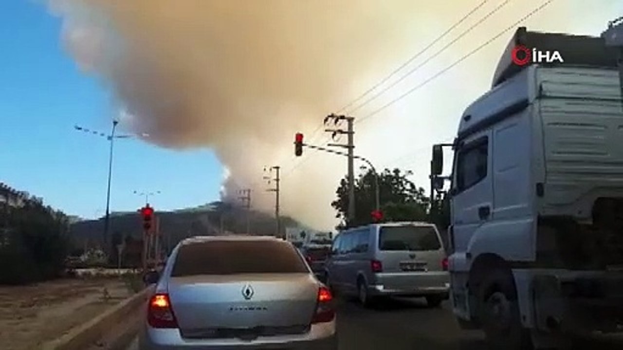 Milas’ta orman yangını devam ediyor