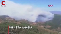 Milas'ta çıkan orman yangını havadan görüntülendi
