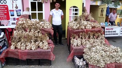 Sarımsak üreticisi festivalden memnun - KASTAMONU