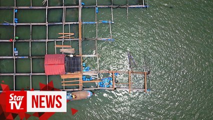 Sim: Lekima wiped out RM60mil of Penang agro industry