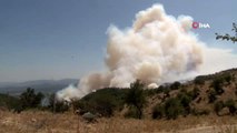 İzmir'de korkutan yangın...Bakan Pakdemirli yangın bölgesini inceliyor