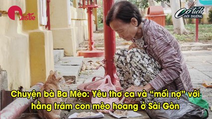 Cô Ba Mèo và mối nợ với trăm con mèo hoang