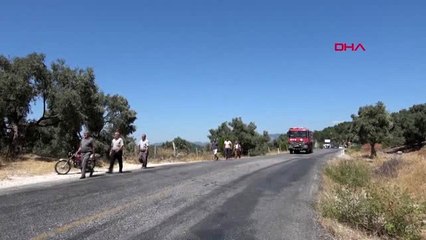 MUĞLA Milas'ta orman yangını çıktı -2