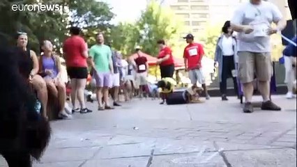 شاهد: عرض أزياء للكلاب في أتلانتا