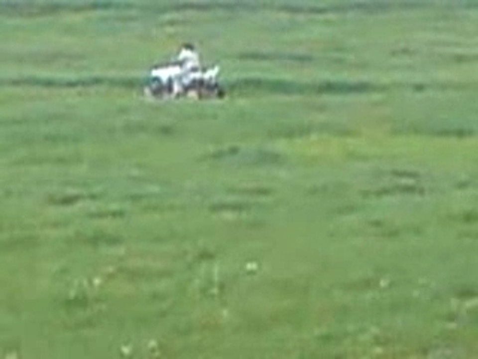 DZOGA VOZI RAPTOR 700