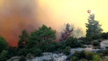 Milas'ta orman yangını devam ediyor