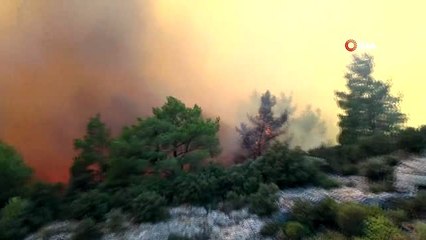 Milas'ta orman yangını devam ediyor