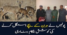Police foils bid to smuggle fawns