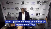 Mike Tyson fuma miles de dólares de marihuana al mes