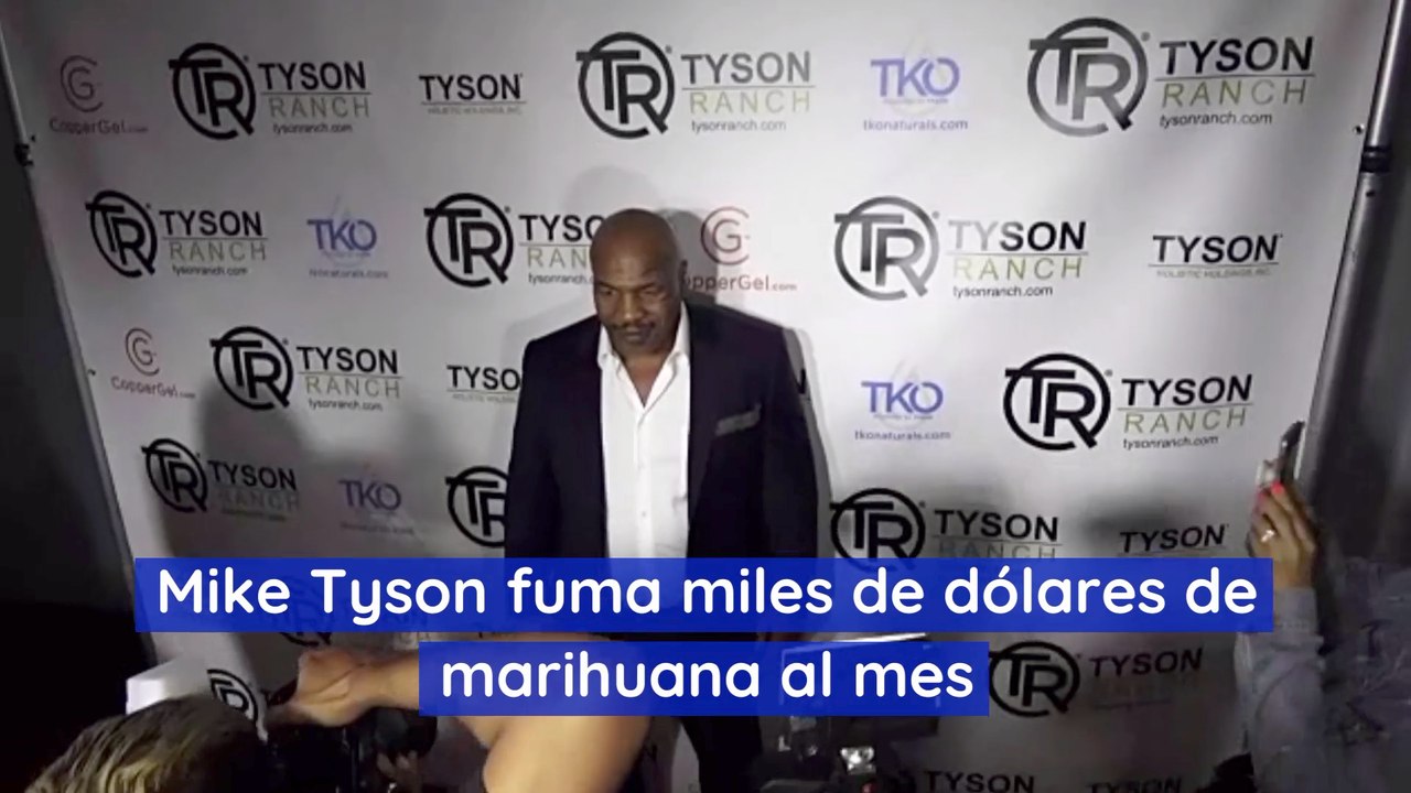 Mike Tyson fuma miles de dólares de marihuana al mes