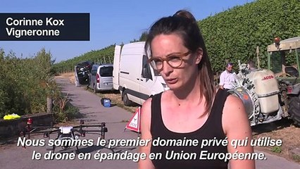 Quand les drones bourdonnent dans les vignes du Luxembourg