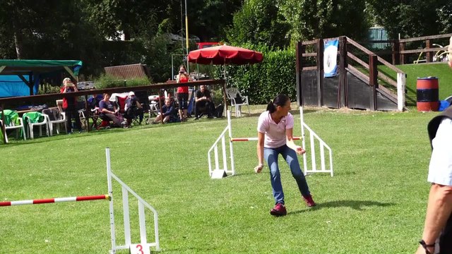 Concours agility 2019 Mon chien Mon ami de Quaregnon