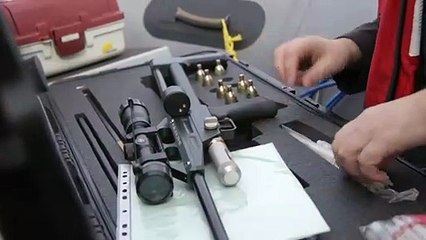 SEA LION RELEASED !!!!!